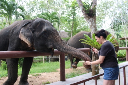 TTM Phuket Elephant Sanctuary
