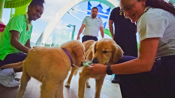 Royal Caribbean Celebrates Chief Dog Officer’s One Year of Service