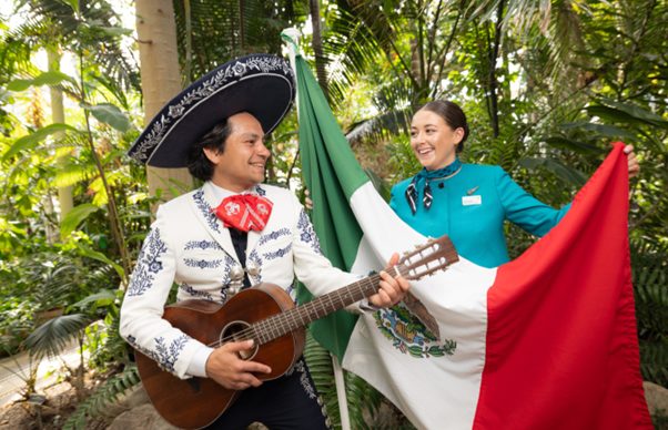 Aer Lingus Unveils Direct Flights from Dublin to Cancún!