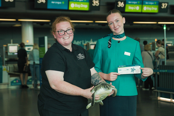 From the Wild Atlantic to Gran Canaria: Aer Lingus helps young sea turtle find her way home