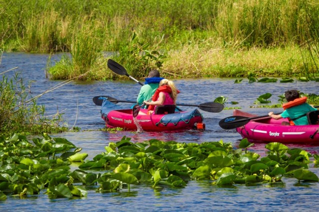 Discover the Wildlife on Florida´s Space Coast