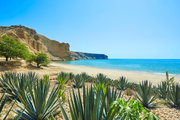 ATTA® Reveals 2026 Africa Travel Trends as Full Global Events Programme is Unveiled