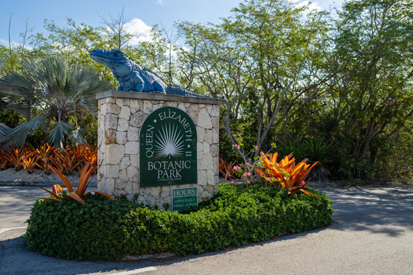 World Earth Day: Meet the five incredible animals you didn’t know were in the Cayman Islands