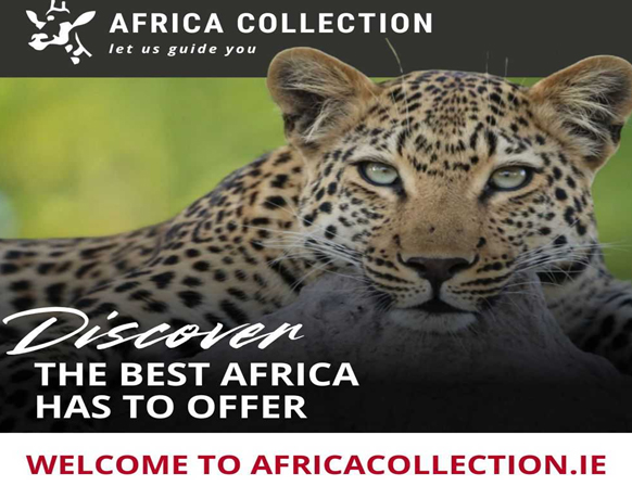 Africa Collection Officially Launches in Ireland